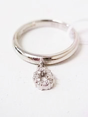 van_ring2